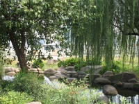 2009 China 138